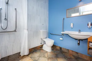 Access Studio Accessible Toilet Accessible toilet with grab rails beside the level entry shower and basin in the Access Studio